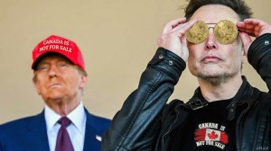 Canada fine gold - 1 OZ or pur